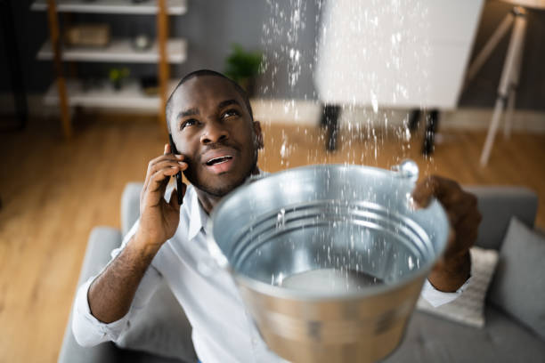 Best Flood restoration services  in Kingsford, MI