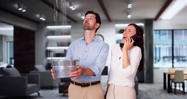 Best Water damage restoration near me  in Kingsford, MI